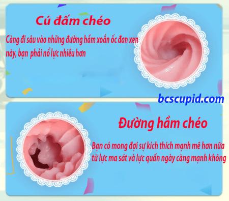 Âm Đạo Nhât Bản Thế Hệ II