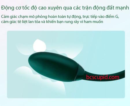 Hộp Trứng Rung Mút Màn Hình LCD