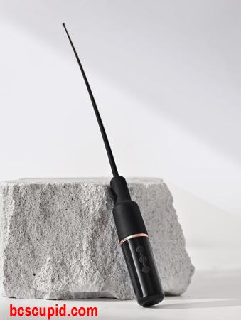 Máy Rung Niệu Đạo Hậu Môn Roselex