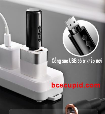 Máy Rung Niệu Đạo Hậu Môn Roselex