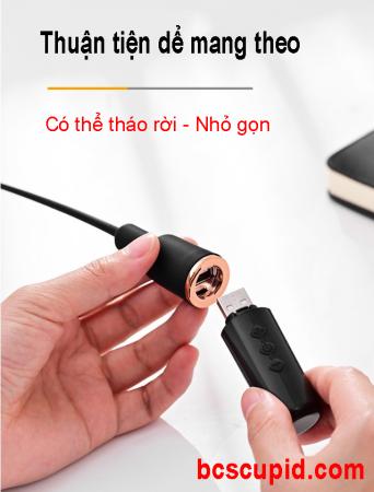Máy Rung Niệu Đạo Hậu Môn Roselex
