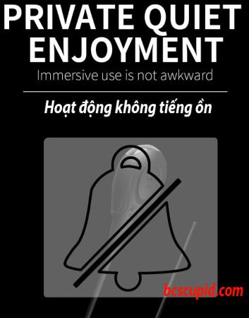 Máy Rung Niệu Đạo Hậu Môn Đồ Chơi SM