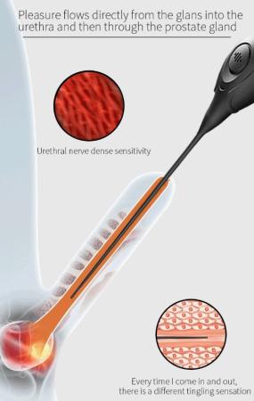 Máy Rung Niệu Đạo Hậu Môn Đồ Chơi SM