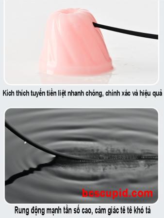 Máy Rung Niệu Đạo Hậu Môn Roselex