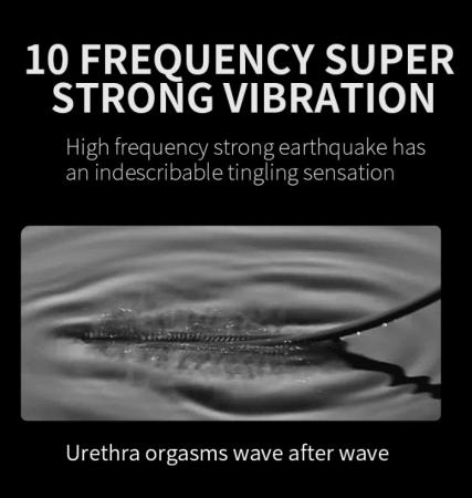 Máy Rung Niệu Đạo Hậu Môn Đồ Chơi SM