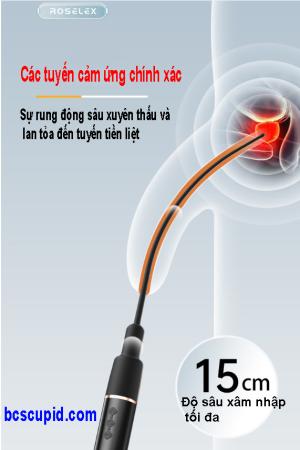 Máy Rung Niệu Đạo Hậu Môn Roselex
