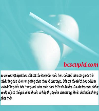 Thanh Hút Ẩm Diatomit