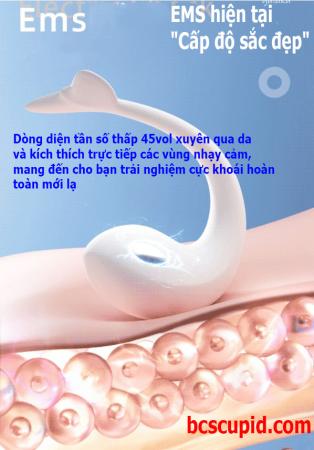 Trứng Rung Cá Heo Sock Điện Điều Khiển App