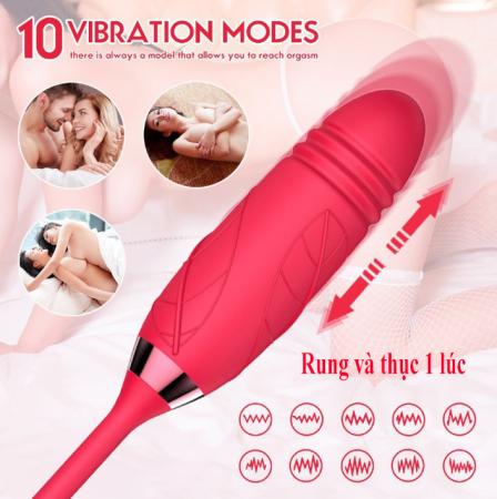 Trứng Rung Hoa Hồng Thục Hút